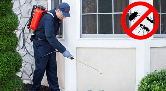 Uzundere Bit İlaçlama böcek ilaçlama ve haşere kontrolü — ilaclama-tr.com